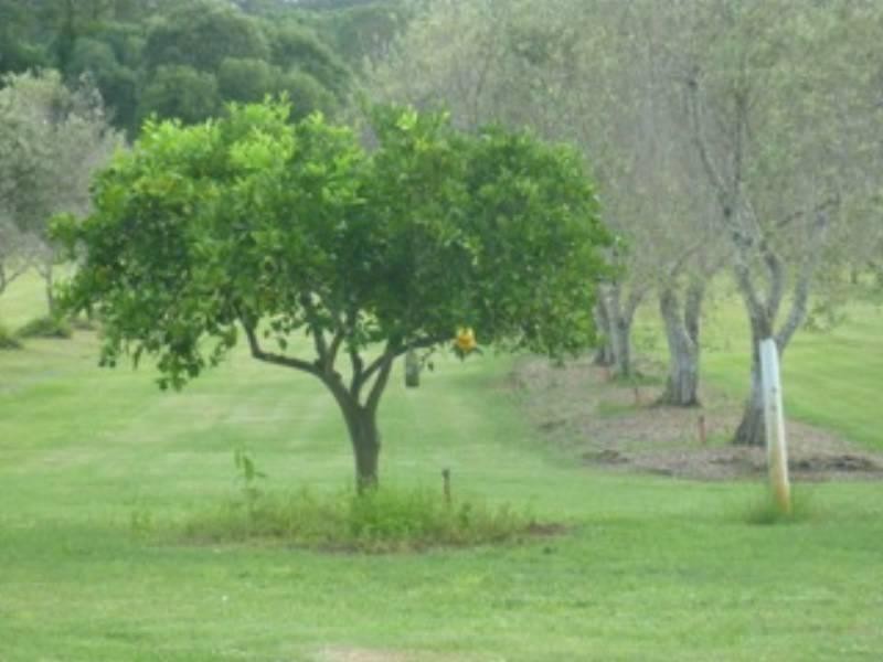 380 Hayne Kite Millar Road, Blackbutt QLD 4306