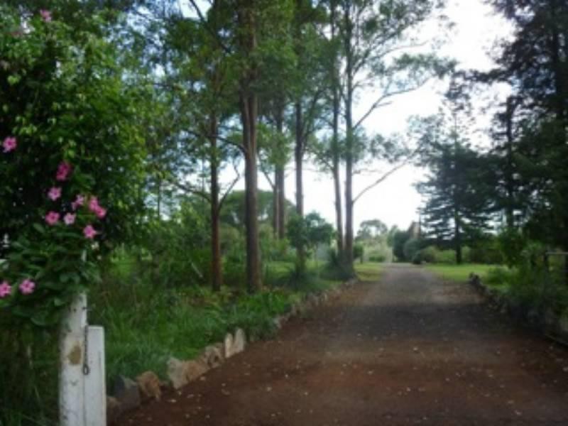 380 Hayne Kite Millar Road, Blackbutt QLD 4306