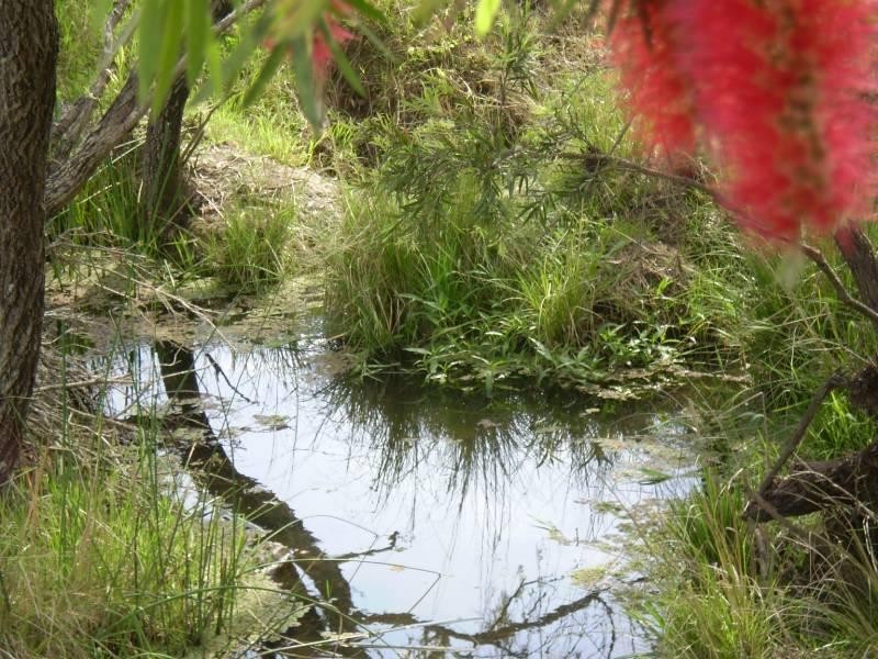 Toogoolawah QLD 4313