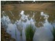 Booie QLD 4610