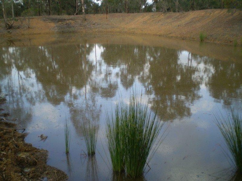 Booie QLD 4610