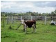 Toogoolawah QLD 4313