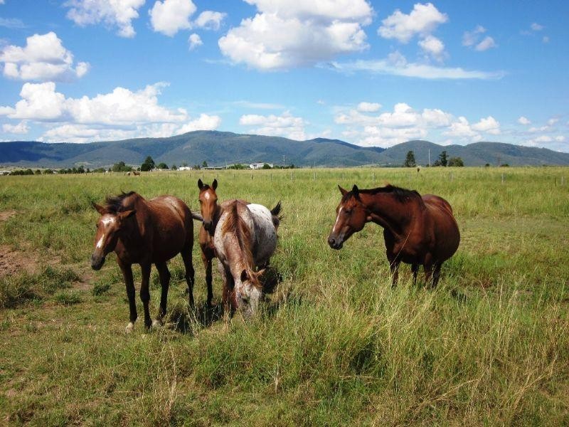 633 Mt Beppo Road, Toogoolawah QLD 4313