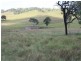 Lot 3 Spring Creek, Harlin QLD 4306
