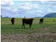 Glen Esk QLD 4312