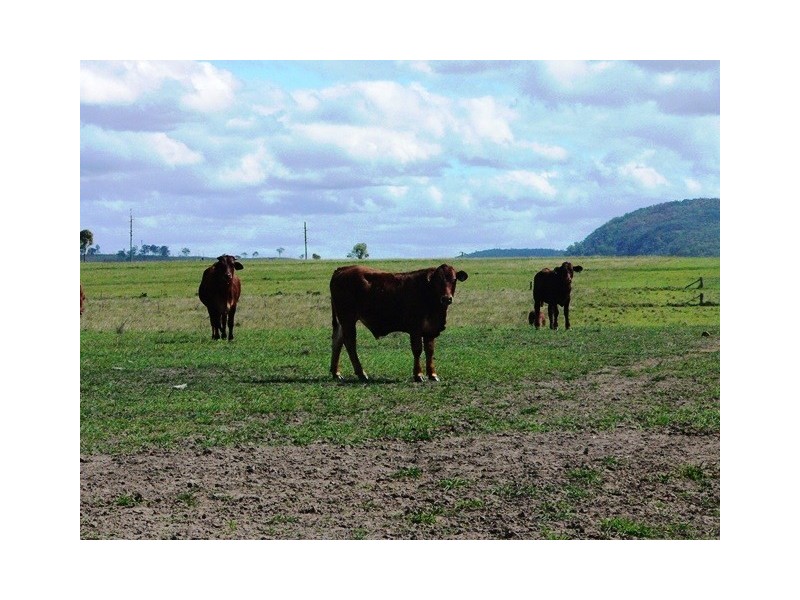 Glen Esk QLD 4312