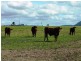 Glen Esk QLD 4312