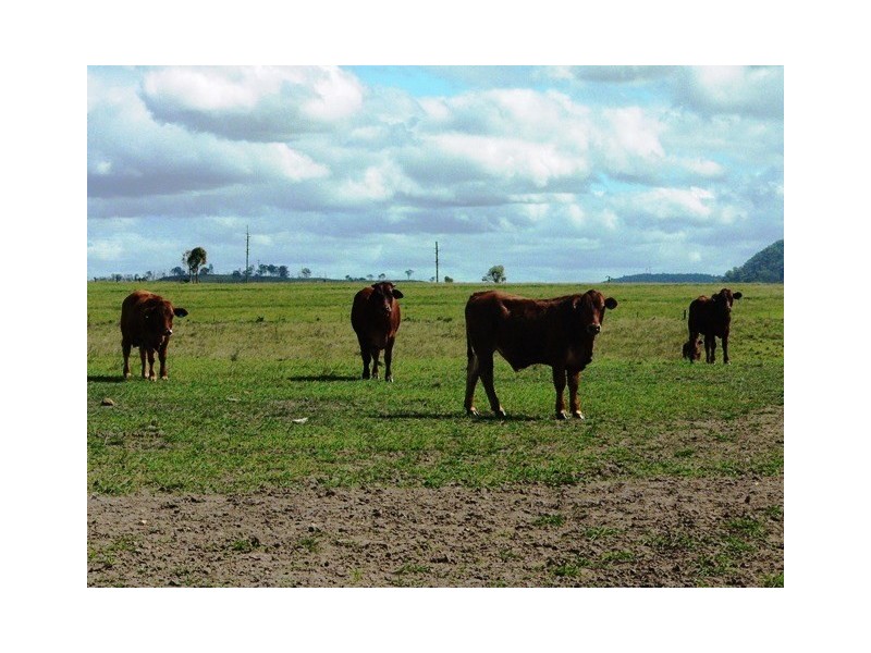 Glen Esk QLD 4312