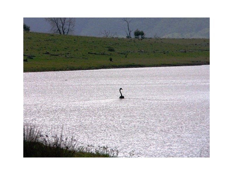 Glen Esk QLD 4312