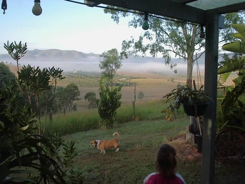 524 Turtle Creek Road, Harlin QLD 4306