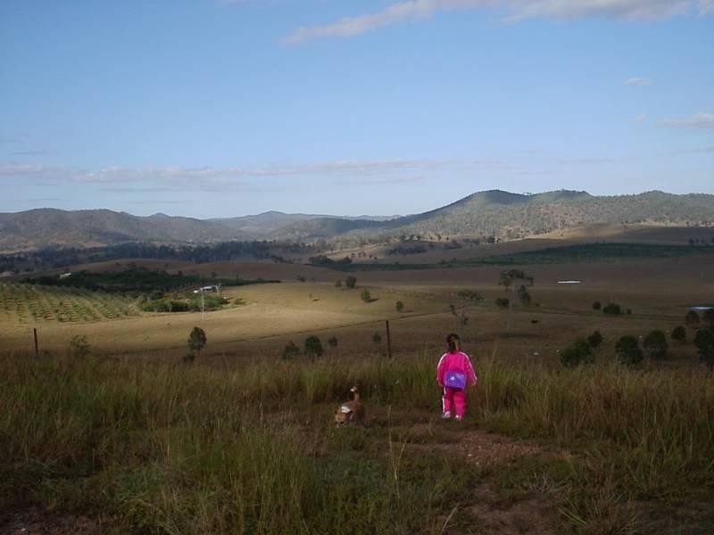 524 Turtle Creek Road, Harlin QLD 4306