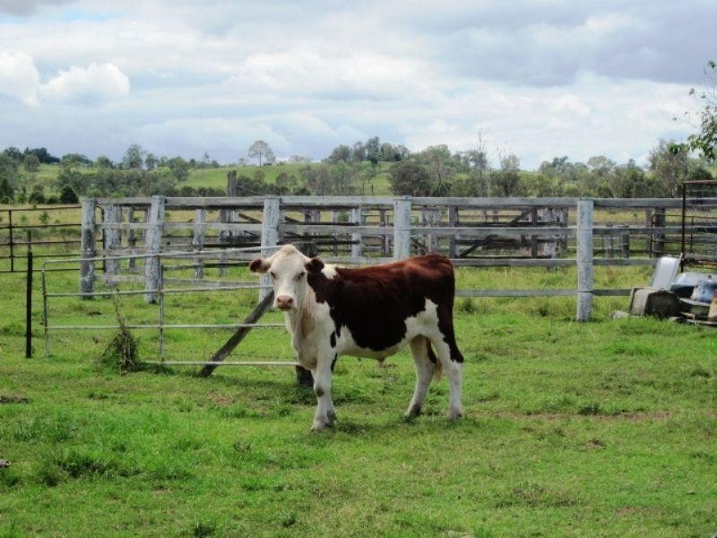 60 Krugers Lane, Toogoolawah QLD 4313