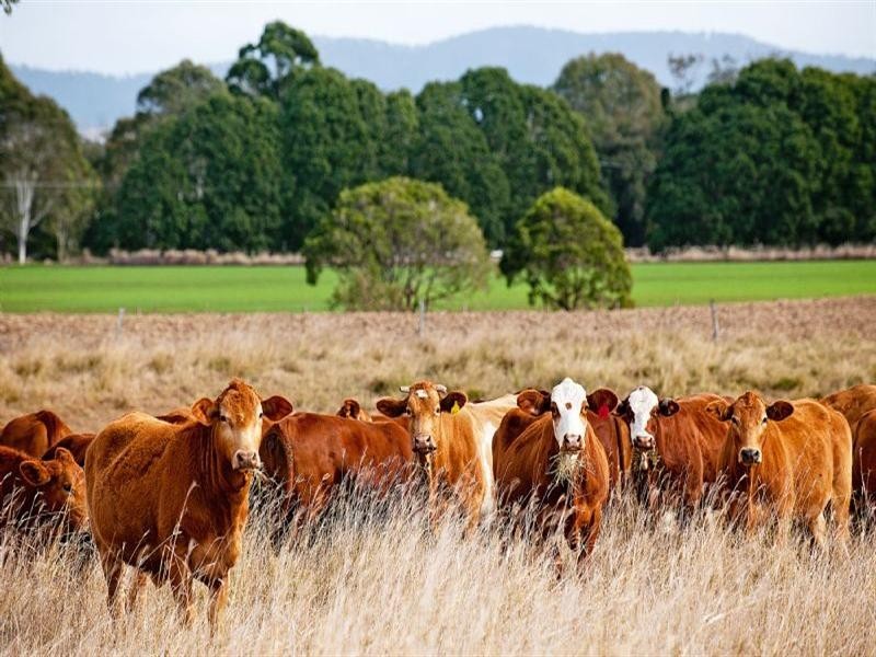 Toogoolawah QLD 4313