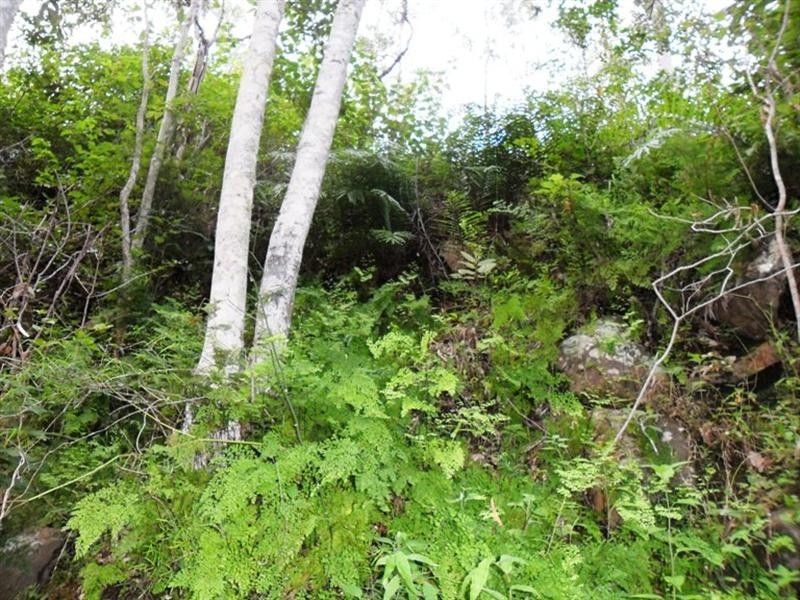 Toogoolawah QLD 4313