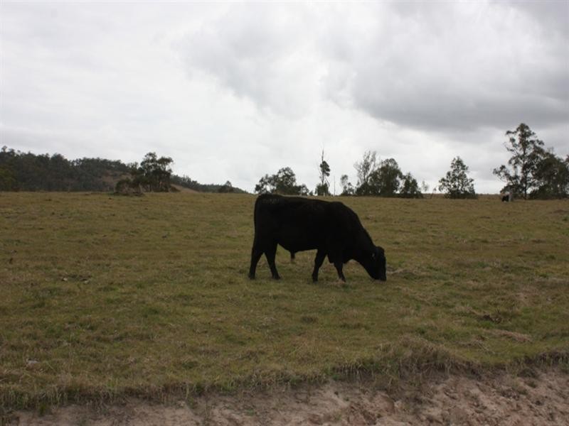 Lot 111 Waterhole Gully Road, Blackbutt QLD 4306