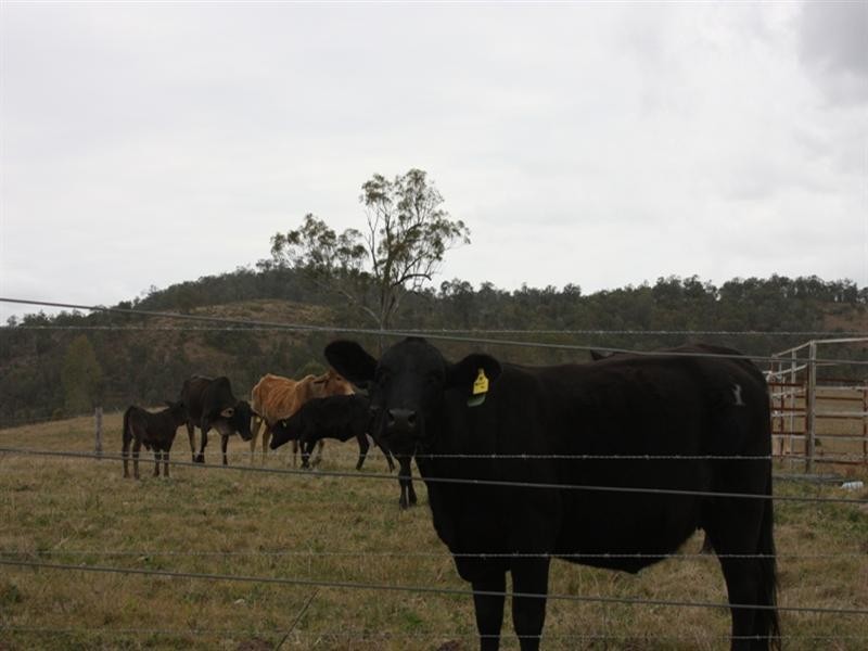 Lot 111 Waterhole Gully Road, Blackbutt QLD 4306