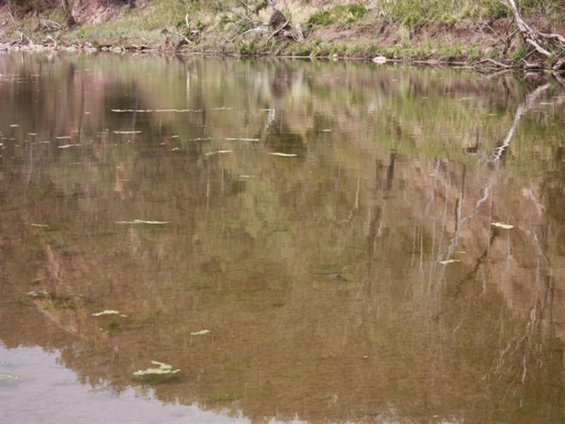 Lot 96 Laughran Road, Blackbutt QLD 4306