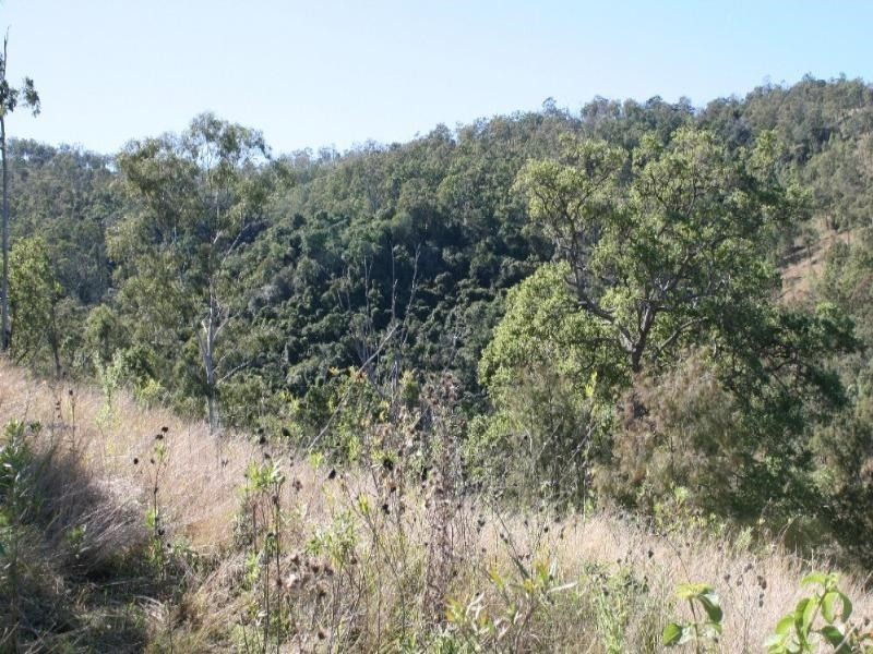 Gregors Creek QLD 4313