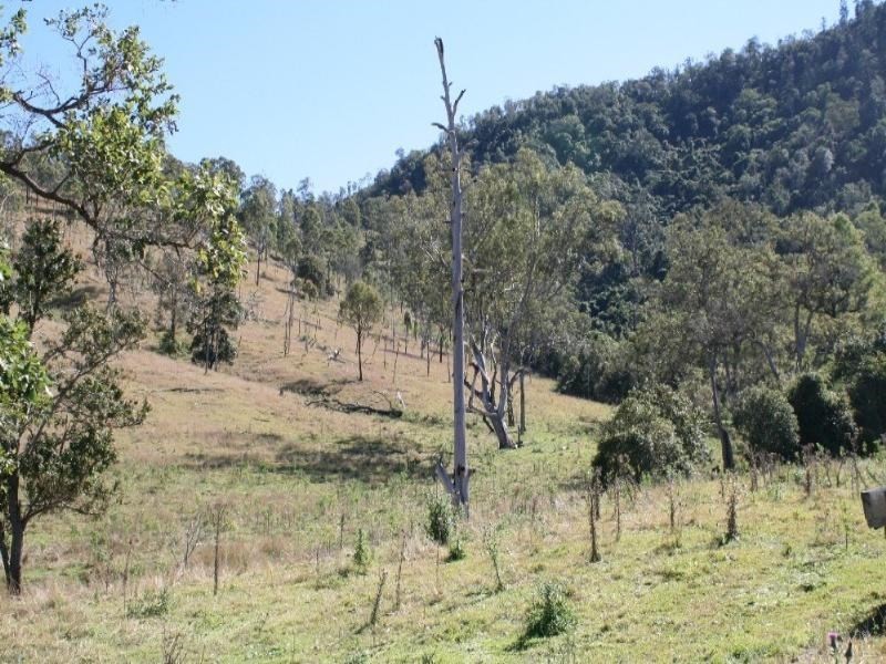 Gregors Creek QLD 4313