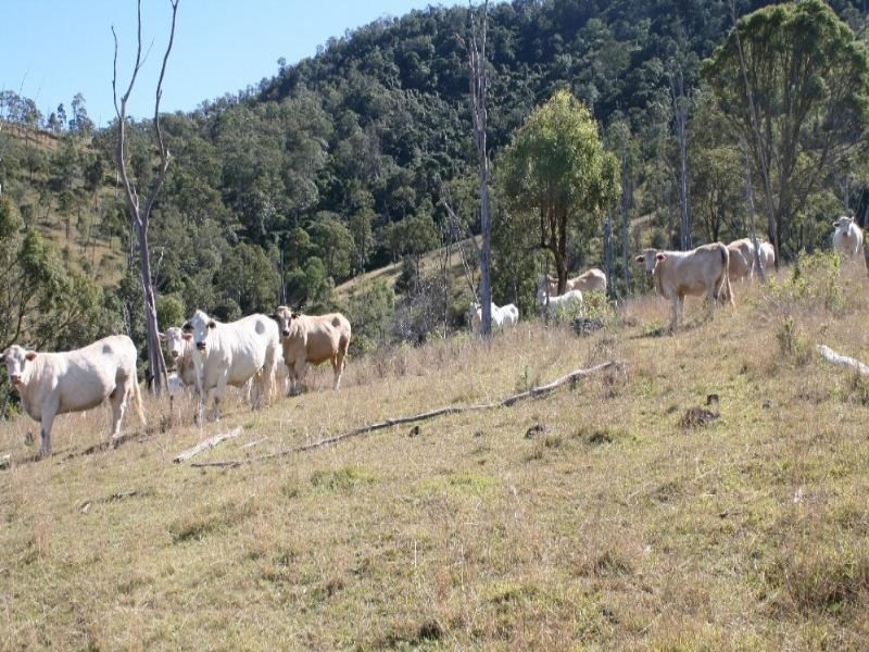 Gregors Creek QLD 4313