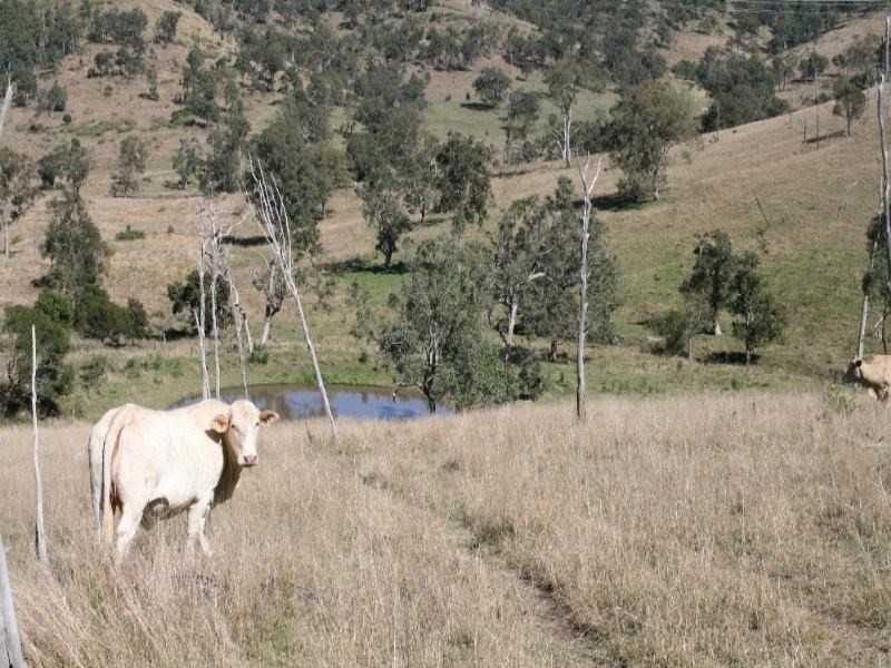 Gregors Creek QLD 4313