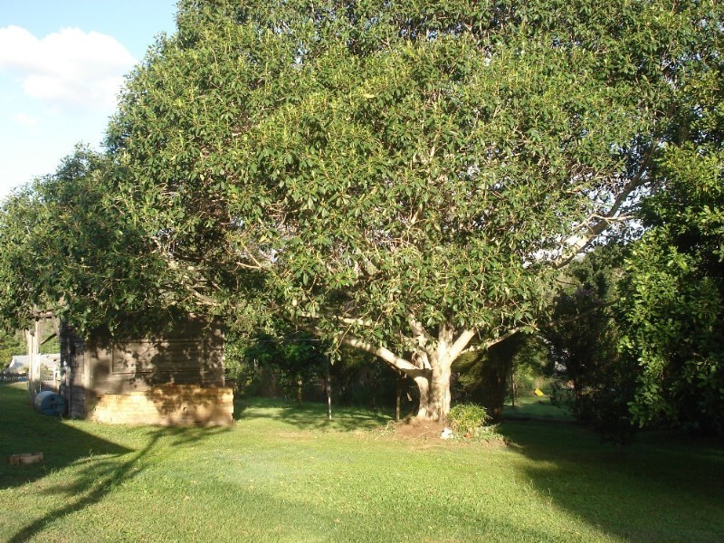 Linville QLD 4306