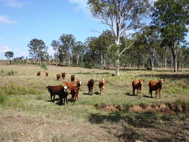 Lot 64 Holland Road, Kilcoy QLD 4515