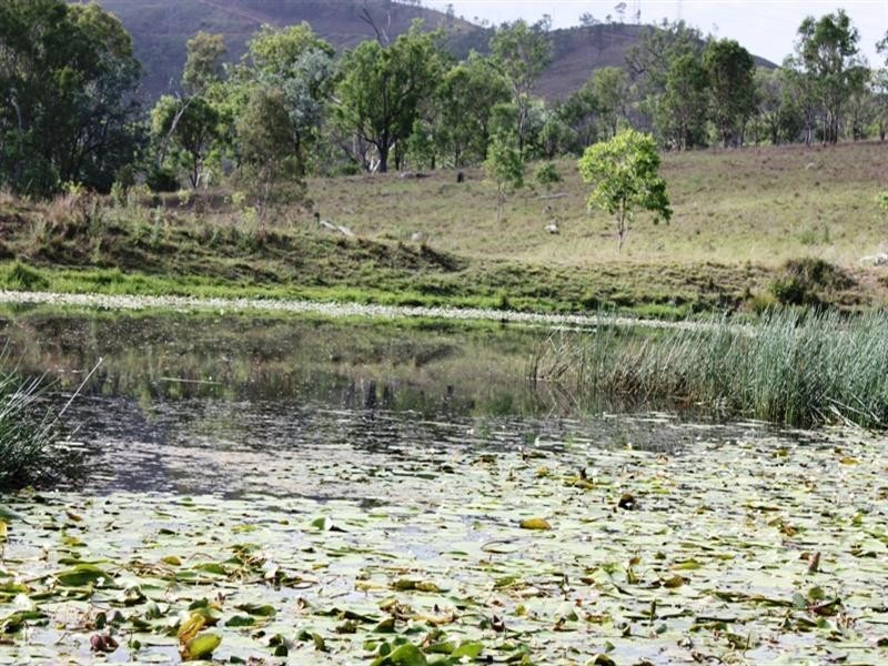 Lot 64 Holland Road, Kilcoy QLD 4515