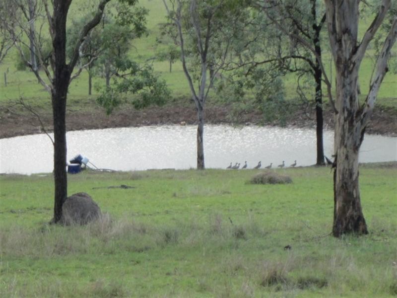 544 Ivory Creek Road, Toogoolawah QLD 4313