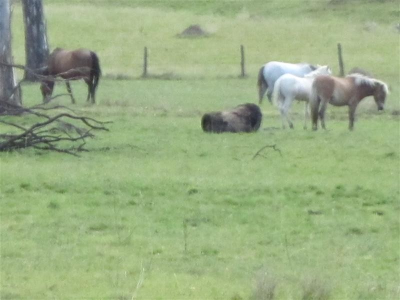 544 Ivory Creek Road, Toogoolawah QLD 4313