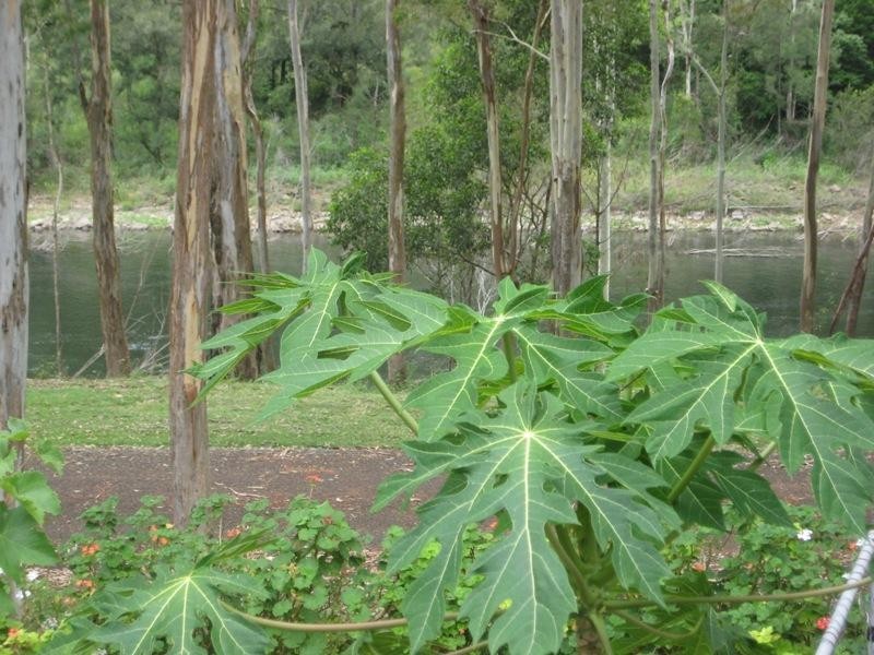 6 Jubilee Street, Somerset Dam QLD 4312