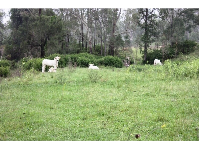 Lot 1 D’Aguilar Highway, Moore QLD 4306