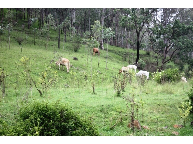 Lot 1 D’Aguilar Highway, Moore QLD 4306