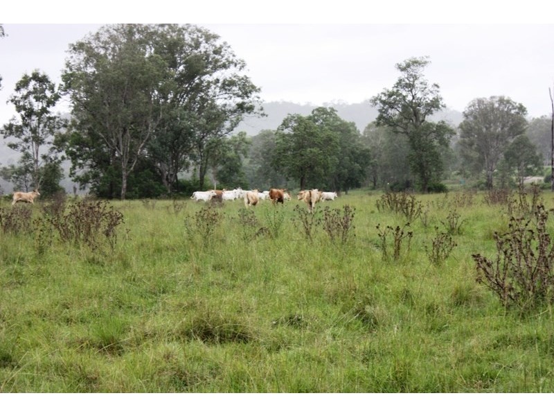 Lot 1 D’Aguilar Highway, Moore QLD 4306