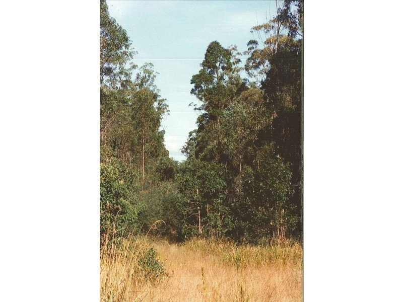 Lot 88 Bradley Road, Blackbutt QLD 4306