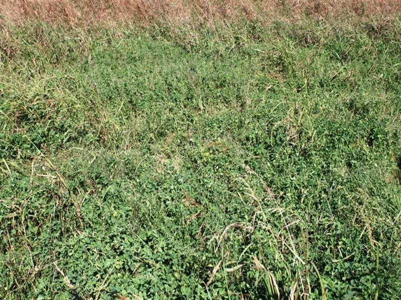 Lot 2 Mount Beppo Road, Toogoolawah QLD 4313