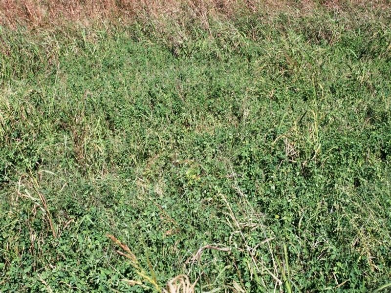 Lot 2 Mount Beppo Road, Toogoolawah QLD 4313