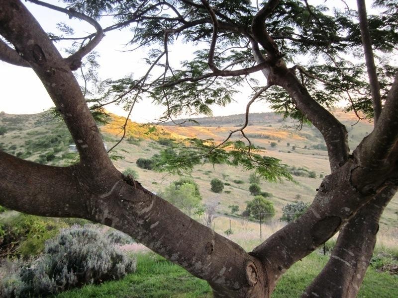 215 WOLFFS Lane, Toogoolawah QLD 4313