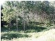 Lot 80 and 49 Tom Thumb Creek Road, Moore QLD 4306
