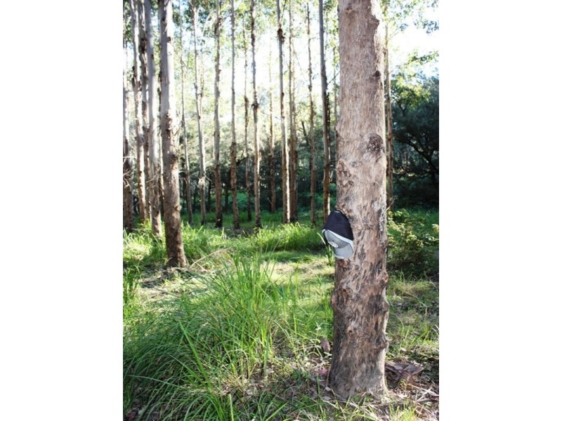Lot 80 and 49 Tom Thumb Creek Road, Moore QLD 4306
