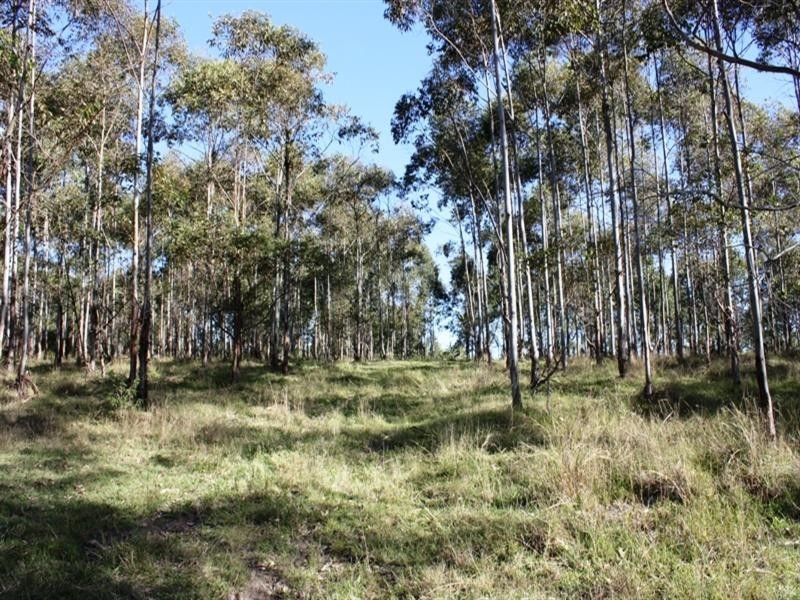 Lot 49 Tom Thumb Creek Road, Moore QLD 4306