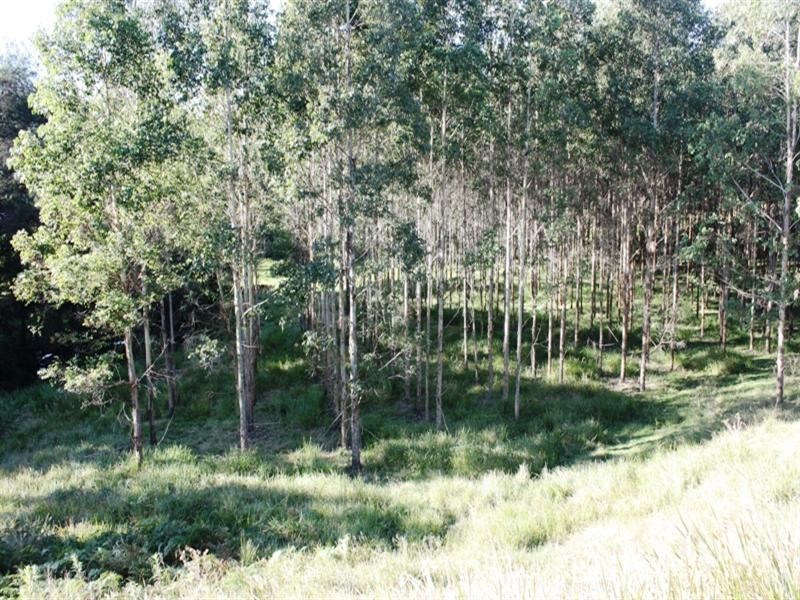 Lot 49 Tom Thumb Creek Road, Moore QLD 4306