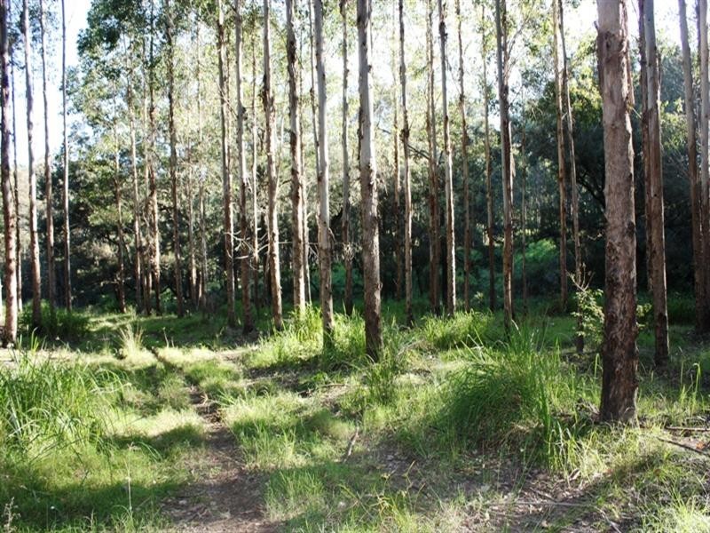 Lot 49 Tom Thumb Creek Road, Moore QLD 4306