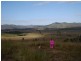 524 Turtle Creek Road, Harlin QLD 4306