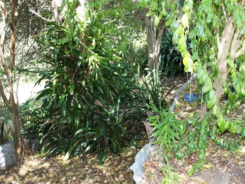 29 Station Street, Moore QLD 4306