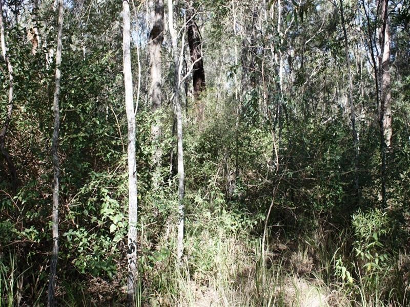 Lot 10 Sawmill Road, Blackbutt QLD 4306