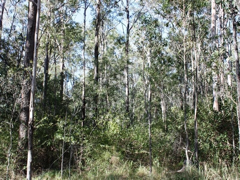 Lot 10 Sawmill Road, Blackbutt QLD 4306