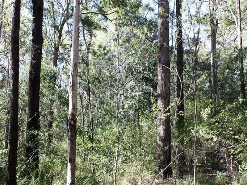 Lot 10 Sawmill Road, Blackbutt QLD 4306