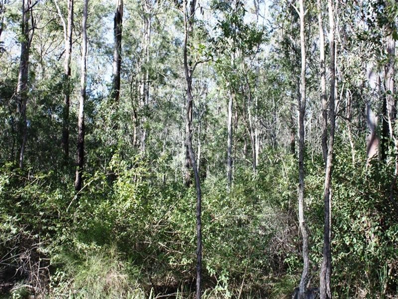 Lot 10 Sawmill Road, Blackbutt QLD 4306