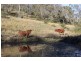 Lot 3 Brisbane Valley Highway, Toogoolawah QLD 4313